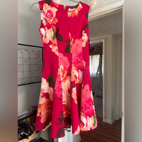 Calvin Klein flare dress - Picture 1 of 4